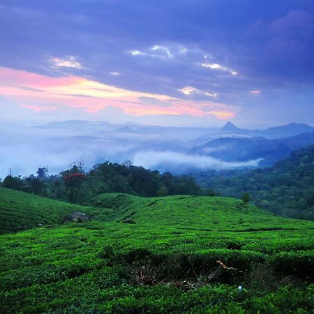 Hotel Violet Woods Munnar Exteriér fotografie